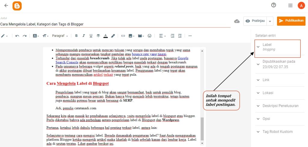 Cara Mengatur Kategori Dan Tag Blog Secara Efisien Untuk Optimalisasi Konten Dan Seo