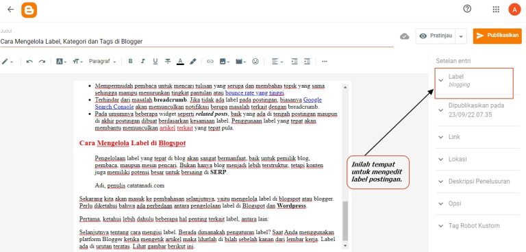Cara Mengatur Kategori Dan Tag Blog Secara Efisien Untuk Optimalisasi Konten Dan Seo