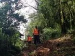 Jejak Hilang Di Ketinggian Galang Pencarian Dramatis Dua Pendaki Muda Di Sulawesi Tengah